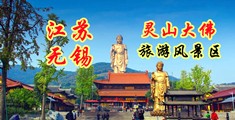 国产乱伦视频污江苏无锡灵山大佛旅游风景区